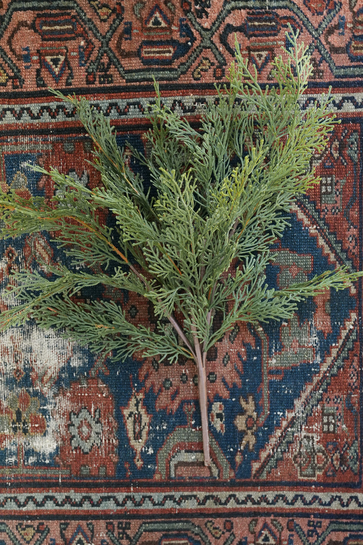 Cedar Bush Spray