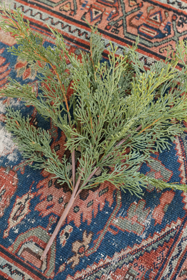 Cedar Bush Spray