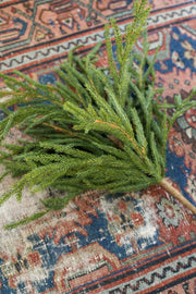 Cypress Spray
