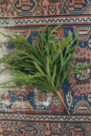 Cypress Spray