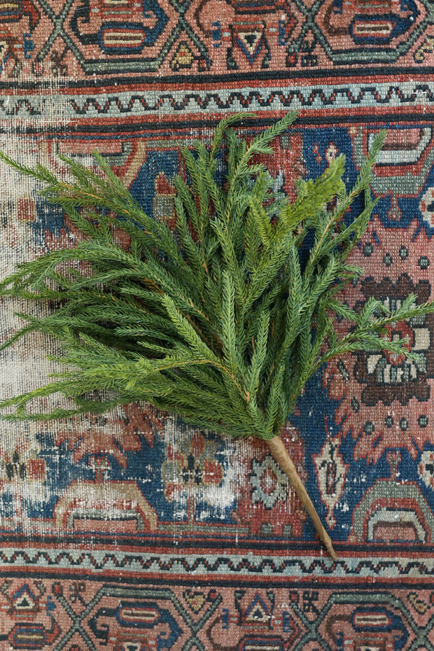 Cypress Spray